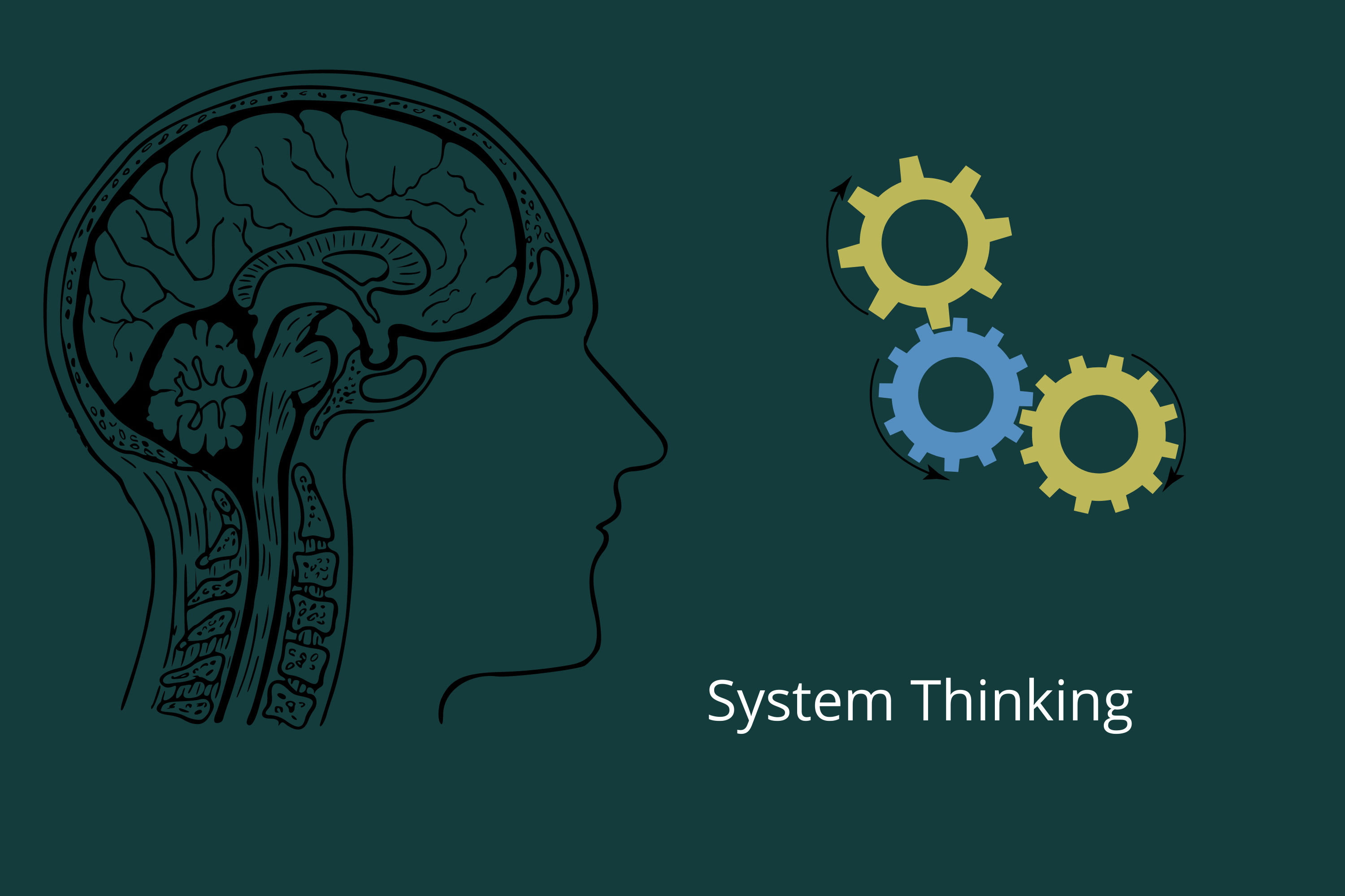System Thinking